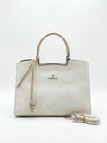 Modern and Elegant Handbags ZH-20